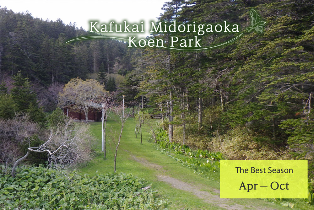 Kafukai Midorigaoka Koen Park