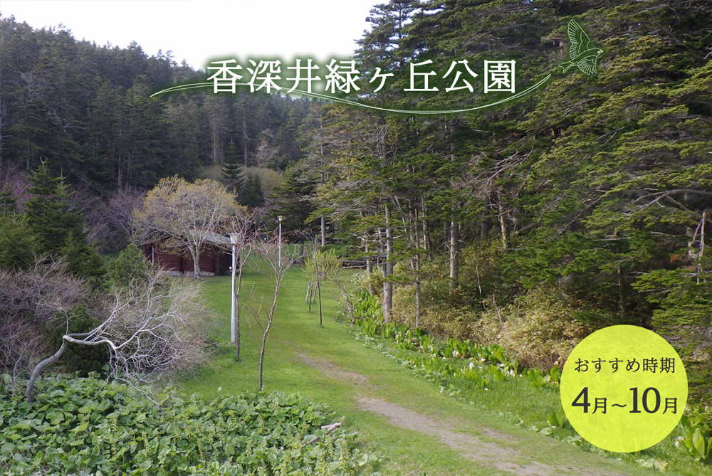 香深井緑ヶ丘公園