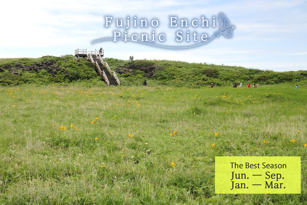 Fujino Enchi Picnic Site