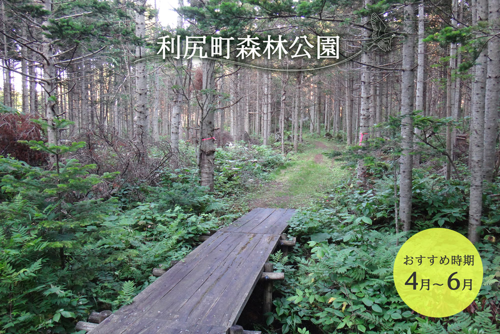 利尻町森林公園