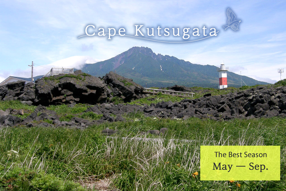 Cape Kutsugata