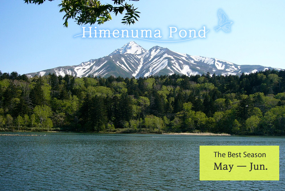 Himenuma Lake