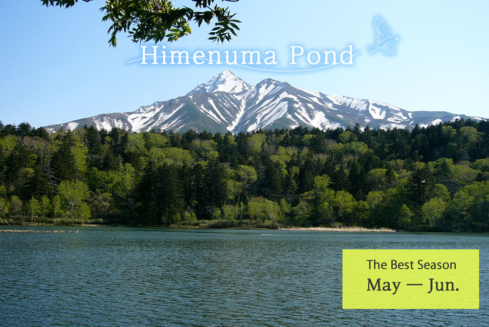 Himenuma Pond