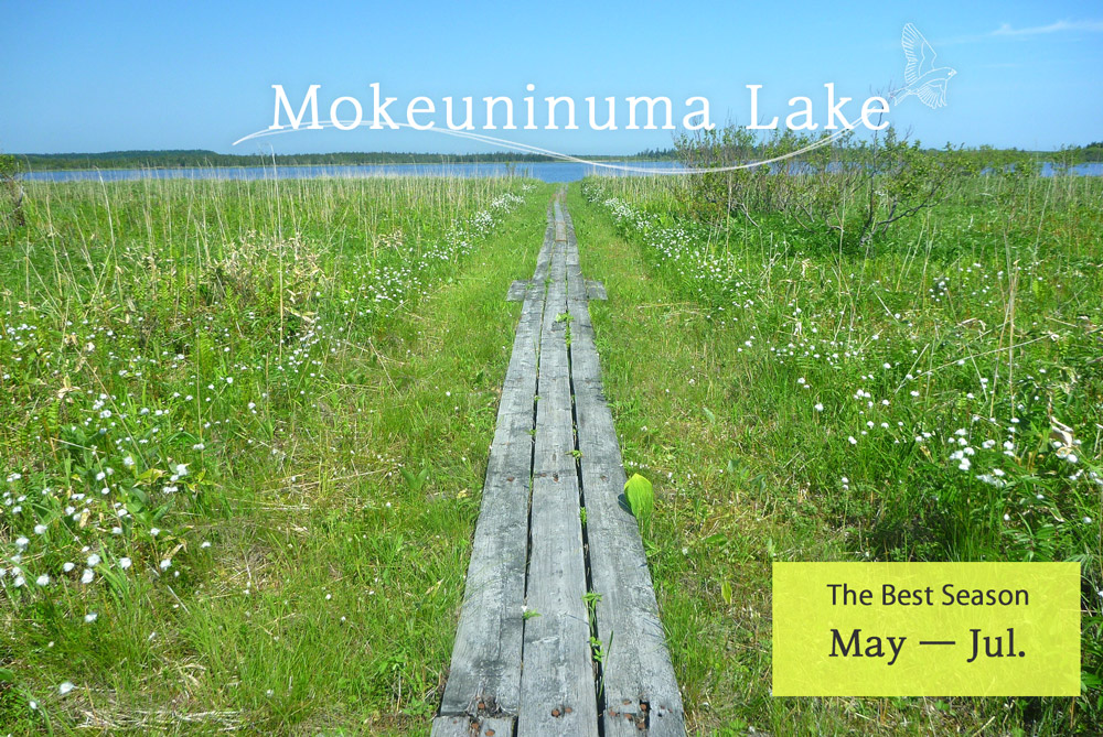 Mokeuninuma Lake