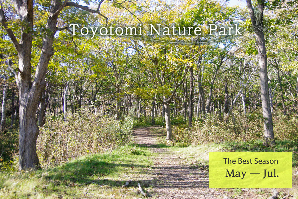 Toyotomi Nature Park