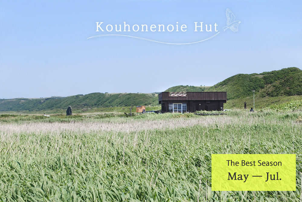 Kouhonenoie Hut