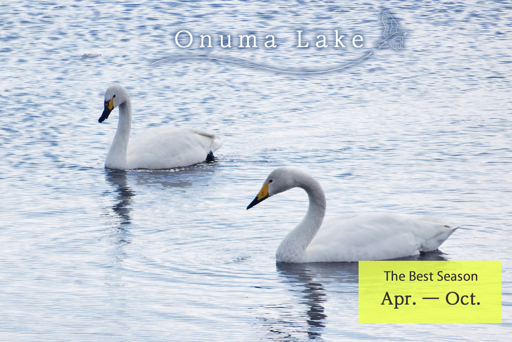 Onuma Lake