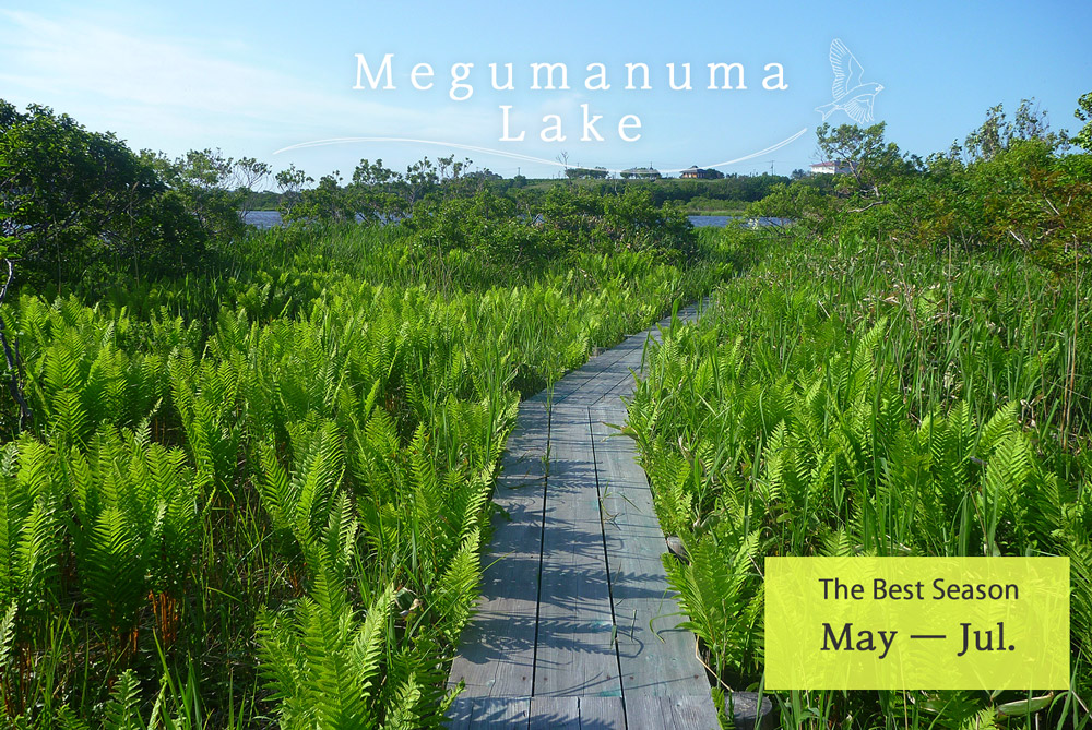 Meguma Lake