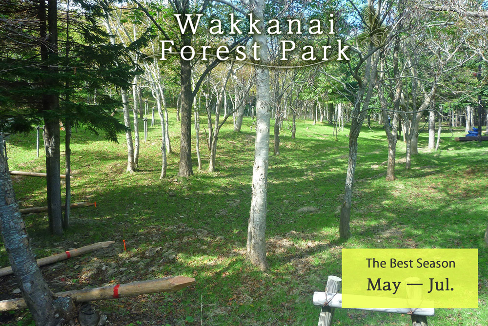 Wakkanai Forest Park