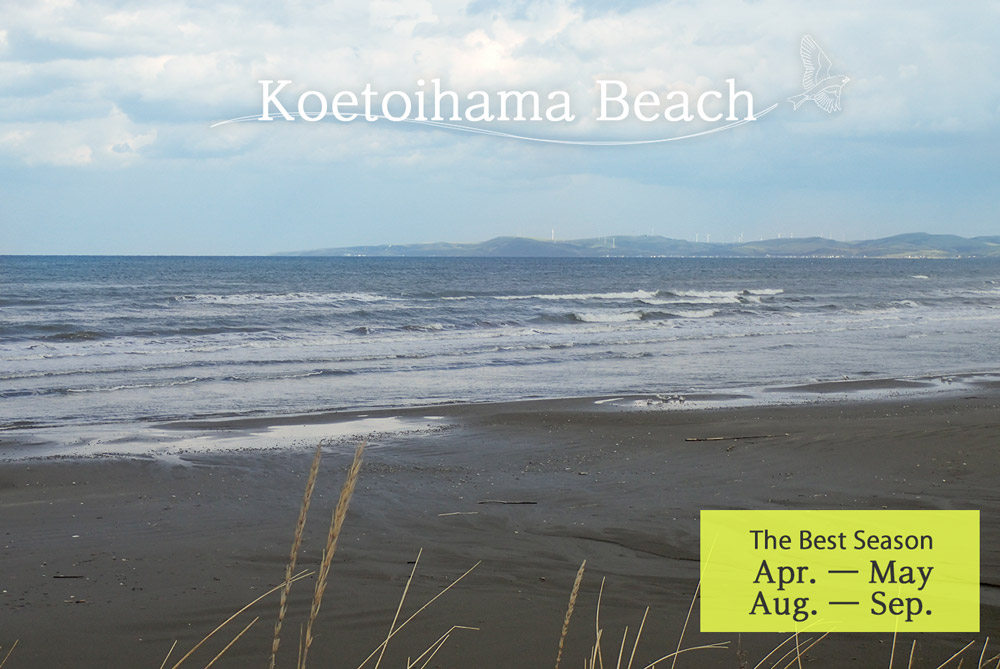 Koetoihama Beach