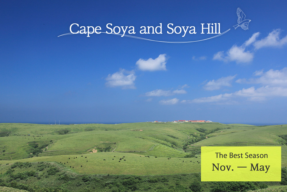 Cape Soya and Soya Hill